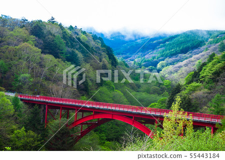 Asagiri and fresh green grove and Higashizawa Ohashi Kiyosato Asagiri and fresh green grove and Higashizawa Ohashi Kiyosato 55443184