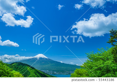 Fresh mountains and Mt. Fuji Fresh mountains and Mt. Fuji 55443186