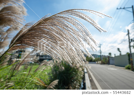 Country countryside 舎 suburb suburb こうがい suburbs countryside 55443682