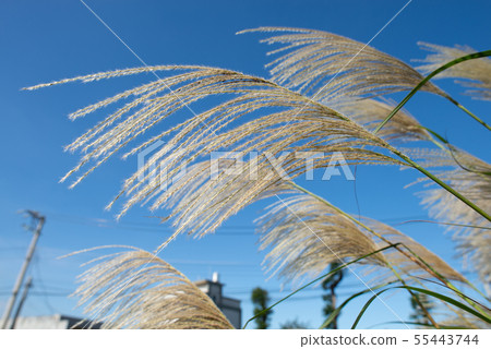 Country countryside 舎 suburb suburb こうがい suburbs countryside 55443744