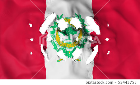 Raleigh capital city flag with a small holes 55443753