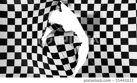 Damaged Checkered flag 55443811
