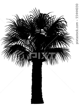 vector hand drawn plant clipart 55444030