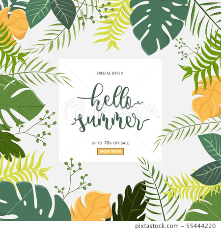 Various tropical forest illustrations for summer Various tropical forest illustrations for summer 55444220