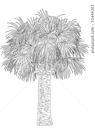 vector hand drawn plant clipart 55444361