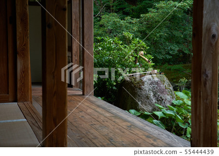 Kyoto's Summer Shisen 55444439