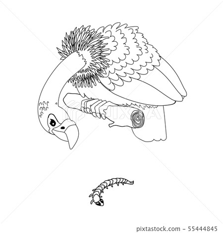 vector line cartoon animal clipart vector line cartoon animal clipart 55444845
