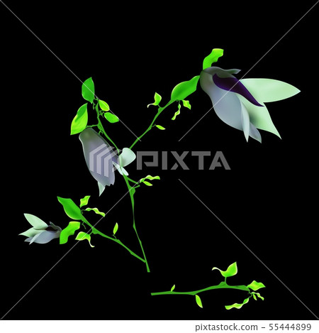 Colorful abstract neon shapes. Abstract Futuristic Colorful abstract neon shapes. Abstract Futuristic 55444899