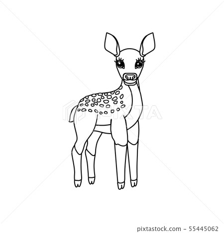 vector line cartoon animal clip art 55445062