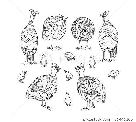 vector line cartoon animal clip art 55445100
