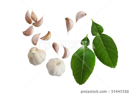 Spices for cooking Isolated on white background Spices for cooking Isolated on white background 55445588