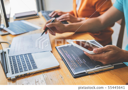 Programmer working in a software development and 55445641