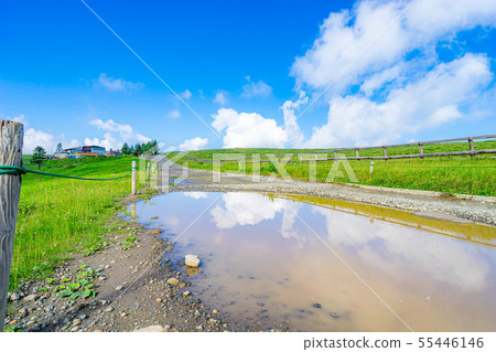 Highland Ranch World in a puddle [Nagano Prefecture] 55446146