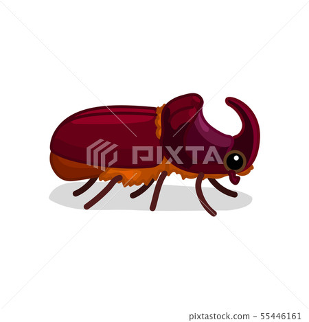 vector cartoon insect clip art 55446161