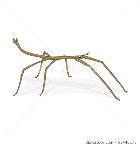 vector cartoon insect clip art 55446173