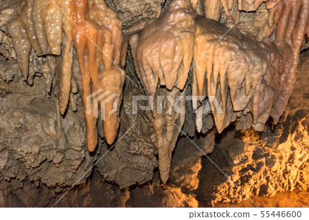 Stalactites in the Demanovska Cave. Slovakia Stalactites in the Demanovska Cave. Slovakia 55446600