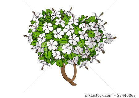 vector hand drawn plant clipart vector hand drawn plant clipart 55446862