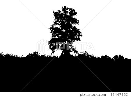 Black tree forest silhouette. Vector illustration 55447562