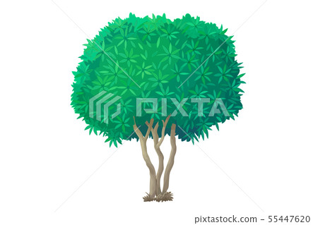 vector hand drawn plant clipart vector hand drawn plant clipart 55447620