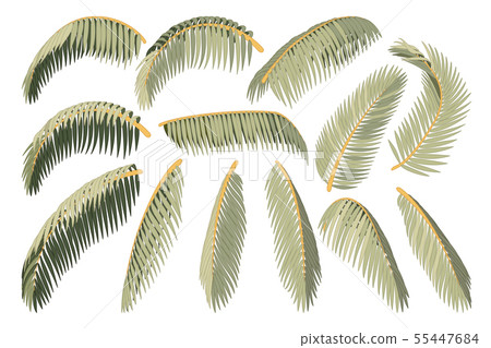 vector hand drawn plant clipart 55447684