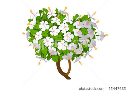 vector hand drawn plant clipart 55447685