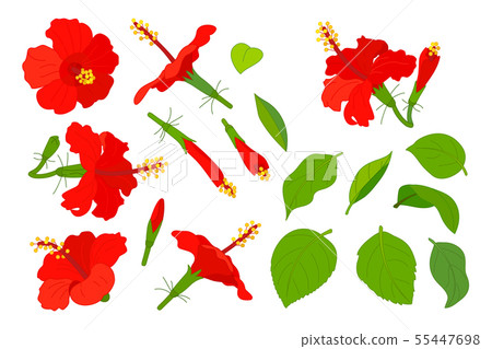 vector hand drawn plant clipart vector hand drawn plant clipart 55447698