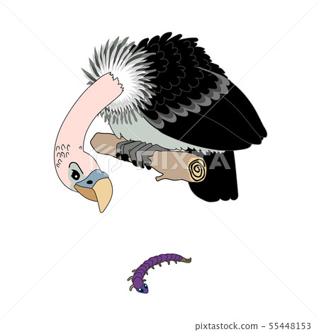 vector scandi cartoon animal clip art vector scandi cartoon animal clip art 55448153