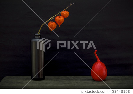 Still life with a branch of Physalis Still life with a branch of Physalis 55448198
