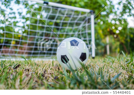 closeup of ball and football goal in the back closeup of ball and football goal in the back 55448401