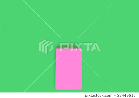 Pink closed notebook on light green background 55449615