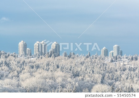 City in the snow. Residential tower buildings on bright winter day in Canada. 55450574
