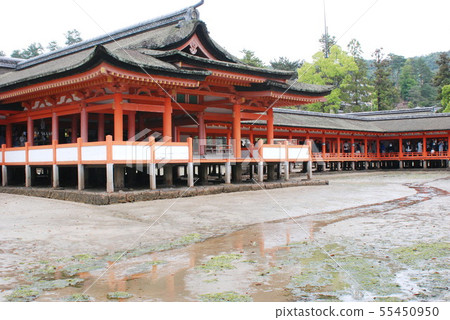Back side of Itsukushima Shrine 55450950