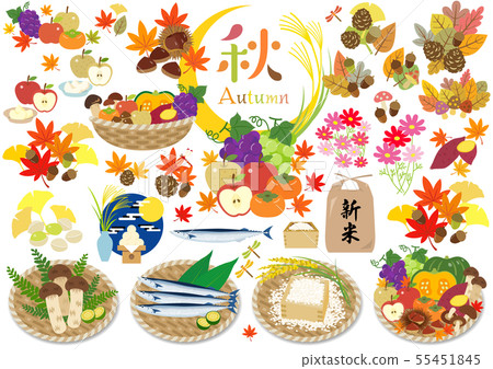 Fall illustration 55451845