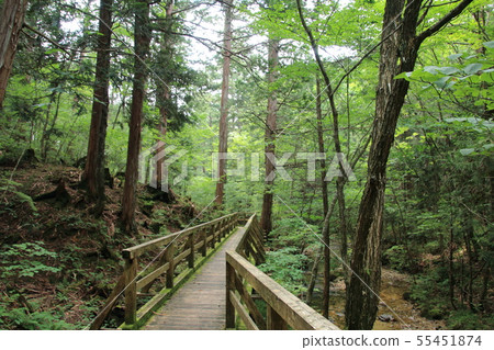Akazawa Natural Recreation Forest (Kiamatsu-cho, Kiso-gun, Nagano Prefecture) Akazawa Natural Recreation Forest (Kiamatsu-cho, Kiso-gun, Nagano Prefecture) 55451874