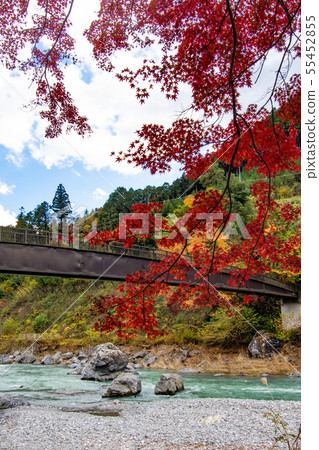 A walk through the military fields and Mitake autumn leaves maple 55452855