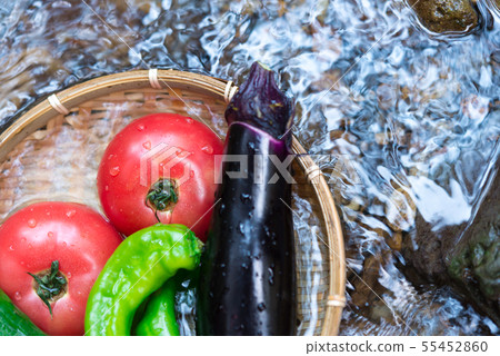 Image of summer vegetables Image of summer vegetables 55452860