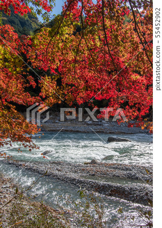 Gunbata Ontake Walk 55452902