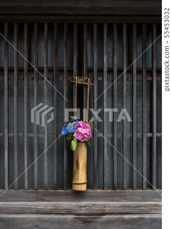 hydrangea   55453032
