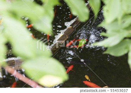 Ax from the gap 55453037