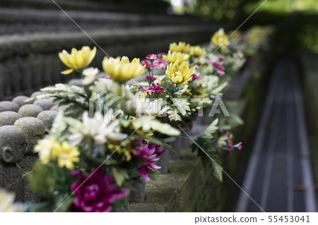 Jizo Jizo 55453041