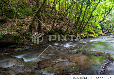 scenery scenery 55454297