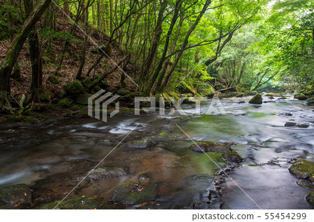風景 風景 55454299