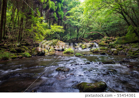 風景 風景 55454301