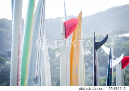 Surfboard surf fin tropical paradise 55454342