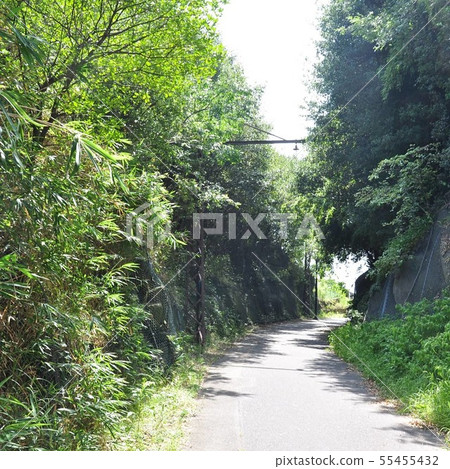 小島自行車道“風道”2 小島自行車道“風道”2 55455432