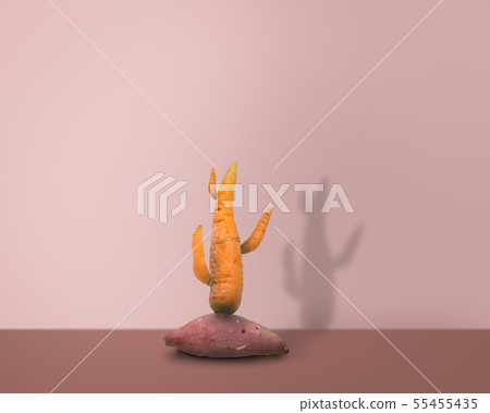 creative of carrot and potato like cactus on pink creative of carrot and potato like cactus on pink 55455435