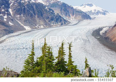 Salmon glacier 55455507