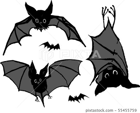 蝙蝠 插圖素材 圖庫