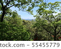 Mountain  55455779