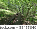  park 55455840